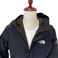 THE NORTH FACE ノースフェイス❣️マウンテンパーカー ブラック