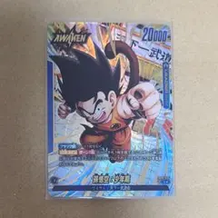 2026年最新】孫悟空少年期 パラレルの人気アイテム - メルカリ