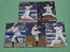 プロ野球チップスカード　千葉ロッテマリーンズ　2025,2024