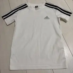 Item thumbnail for item 77e113c2-c4a7-4845-a43f-8791e84259bd