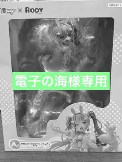 ★ 電子の海様専用★