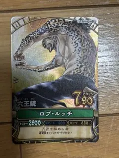 ワンピーベリーマッチ　ロブルッチ　GR