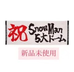 Snow Man 巡迴毛巾 未使用