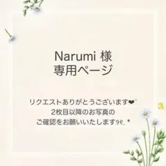 Narumi様 おまとめ4点