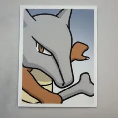 【韓国限定】ガラガラ　ポケモン　証明写真ステッカー　シール　ガチャ　釜山