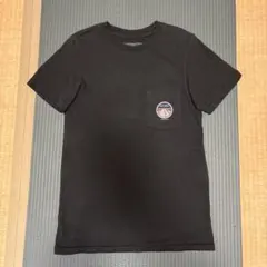 patagonia メンズ Tシャツ XS スリムフィット