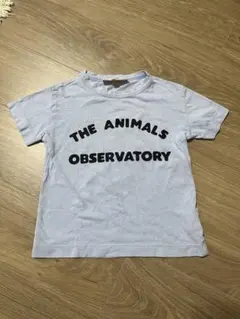 THE ANIMALS OBSERVATORY Tシャツ 4Yのサムネイル