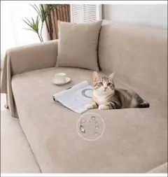 Item thumbnail for item 6e8096cb-fd0d-4eb9-9d24-d2719391e073