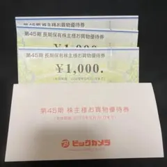 ビックカメラ 株主優待券 3000円分