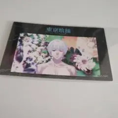 東京喰種　アニメガ　金木