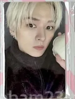 straykids スキズ DO IT リスパ リノ トレカ FANS