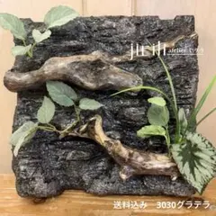 No.9 3030グラステラリウム専用バックボードのみダンボ様専用確認用のサムネイル