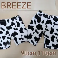 Item thumbnail for item 974294ea-78b4-4978-b05f-cc84f50cd105