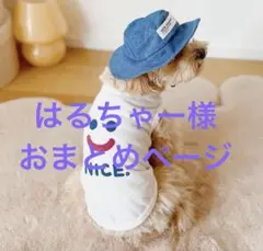 はるちゃー様専用　おまとめページ　犬服＆ハットSET