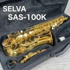 2026年最新】selva サックスの人気アイテム - メルカリ