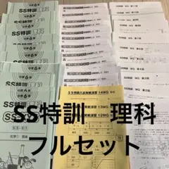 2026年最新】sapix サンデーサピックスの人気アイテム - メルカリ