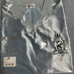 DAL 水色 Vネック Tシャツ Lサイズ