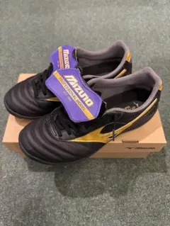 Item thumbnail for item c55b3fc8-f8ac-4e48-b5ec-c173579dec1d