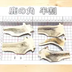 胃腸ケア】鹿ミミガー 天然おやつ♪ 6個入り - メルカリ