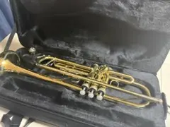 Item thumbnail for item 3347d7f4-dc6f-492b-9283-34180b36d2b5