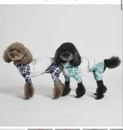 ロンパース 小型犬用のサムネイル