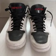 JORDAN ハイカットスニーカー ２２㎝