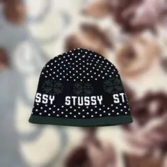 【購入価格2万円】STUSSY ニット帽 最終値下げ