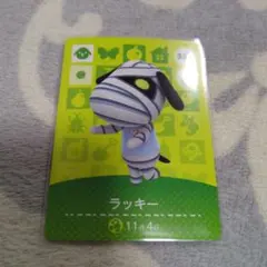 あつ森　あつまれどうぶつの森　amiiboカード　ラッキー　アミーボカード