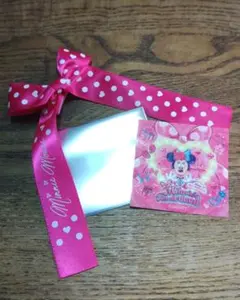 パルパルーザ　ミニーのファンダーランド　ステッカーとリボン
