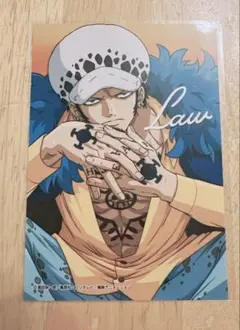生ブロマイド ロー Amazon.co.jp: ONE PIECE ワンピース ジャンプフェスタ2015 生 カード・フォト・ブロマイド