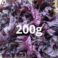 赤しそ　赤紫蘇　200g. 346のサムネイル