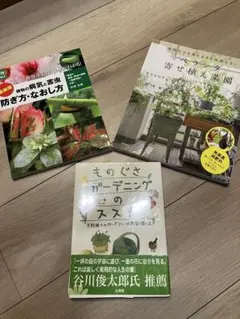 Item thumbnail for item 570c7bc8-a224-4bd7-84e9-5d082169e0cb