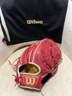 特注オーダー 限定型番】Rawlings 硬式グローブ 軟式可 内野用 N64