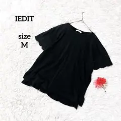 IEDIT 半袖カットソー フレンチスリーブ きれいめ シンプル 黒 ストレッチのサムネイル