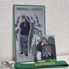 TheRAMPAGE 岩谷翔吾 アクリルスタンド、フォトカード、マルチストラップ