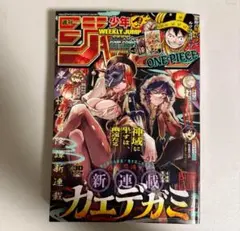 #週刊少年ジャンプ 2025年7月7日号 30号 no.30 チケット付き