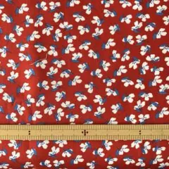 ロバートカフマン