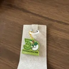 ポケチャーム　30周年 ツタージャ