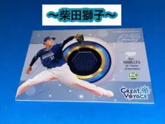 2025年最新】パッチカードbbmの人気アイテム - メルカリ