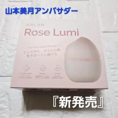 自分にご褒美✨️定価23300円 ANLAN Rose Lumi 美顔器 ピンク - メルカリ