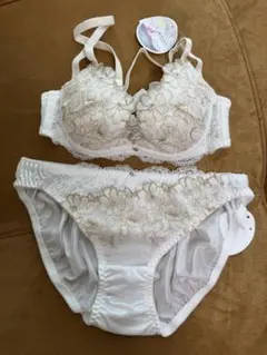 花柄刺繍ブラジャーショーツセットB65