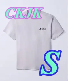 Calvin Klein ジョングク ロゴバッジTシャツ グレーXS CKJK - メルカリ