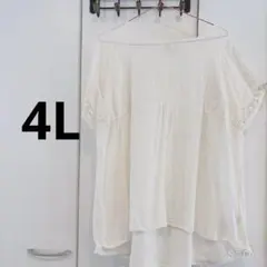 Denifits 半袖ブラウスホワイト 4Lのサムネイル