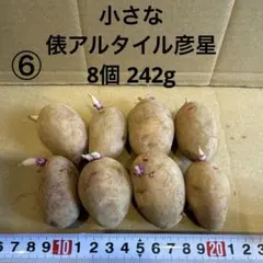 2026年最新】俵アルタイル彦星の人気アイテム - メルカリ