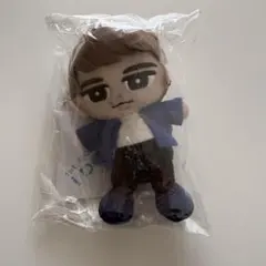 SnowMan 渡辺翔太　すのチル　ぬいぐるみ