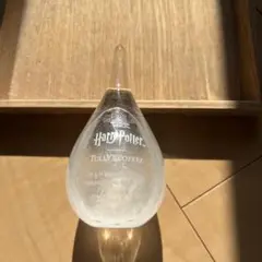 ハリーポッター　タリーズ　コラボ　ストーグラス