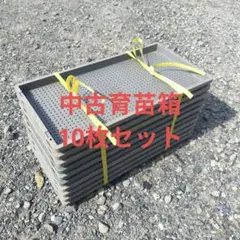 2026年最新】育苗箱の人気アイテム - メルカリ