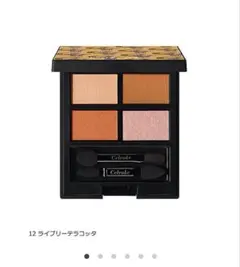 セルヴォーク　ヴァティック　アイパレット12 ライブリーテラコッタのサムネイル