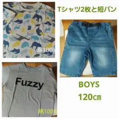 BOYS 動物柄とオーガニックTシャツとデニムパンツ120cm 3点セット 処分