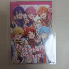 いろっち☆プロフ確認願います♪様 リクエスト 2点 まとめ商品